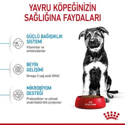 Royal Canin Maxi Puppy Büyük Irk Yavru Köpek Maması 15 kg