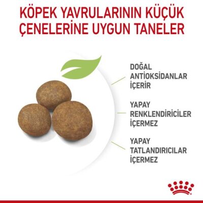 Royal Canin Maxi Puppy Büyük Irk Yavru Köpek Maması 15 kg