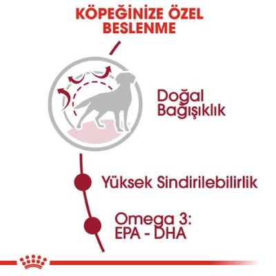 Royal Canin Medium Adult Orta Irk Yetişkin Köpek Maması 15 kg