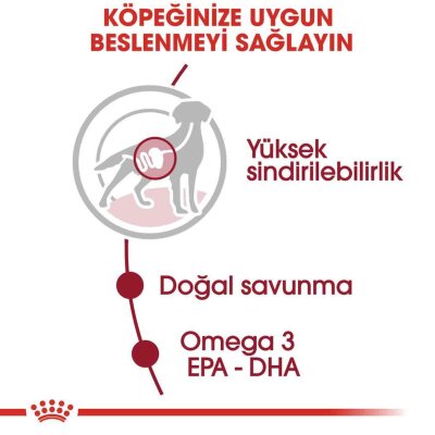 Royal Canin Parça Etli Soslu Orta Irk Yetişkin Köpek Konservesi 140 gr