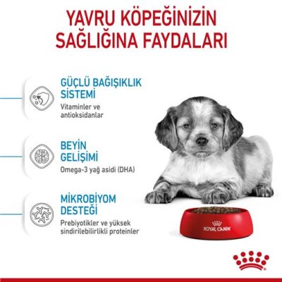 Royal Canin Orta Irk Yavru Köpek Maması 15 kg
