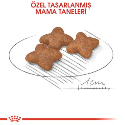 Royal Canin Mini Adult Küçük Irk Köpek Maması 2 kg