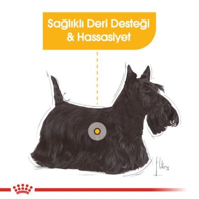 Royal Canin Dermacomfort Deri Hassasiyeti Köpek Maması 3 kg