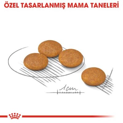 Royal Canin Dermacomfort Deri Hassasiyeti Köpek Maması 3 kg