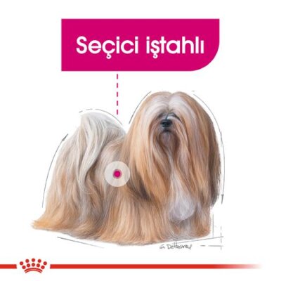 Royal Canin Mini Exigent Seçici İştah Küçük Irk Köpek Maması 3 kg