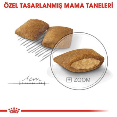 Royal Canin Mini Exigent Seçici İştah Küçük Irk Köpek Maması 3 kg
