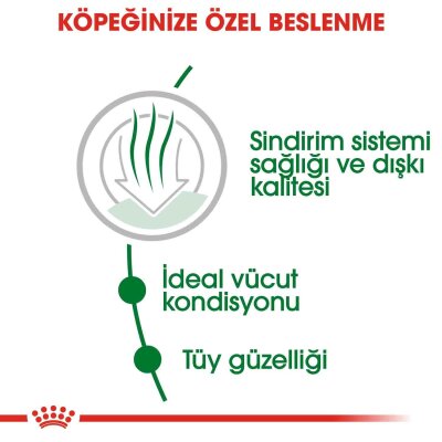 Royal Canin Mini Indoor Ev İçi Yetişkin Köpek Maması 1,5 kg