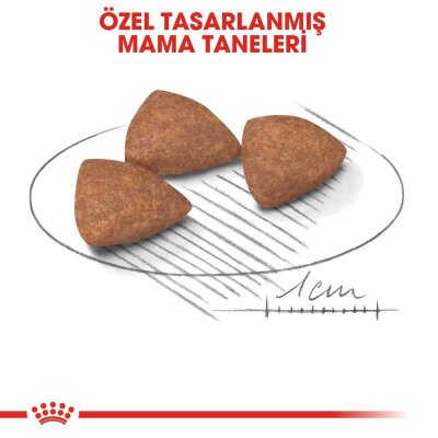 Royal Canin Mini Indoor Ev İçi Yetişkin Köpek Maması 1,5 kg