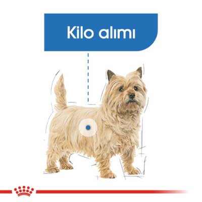 Royal Canin Mini Light Küçük Irk Diyet Köpek Maması 3 kg