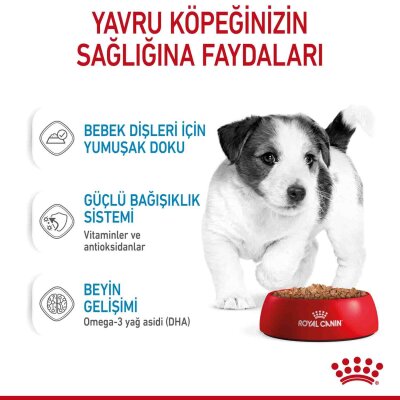 Royal Canin Küçük Irk Yavru Köpek Konservesi 85 gr