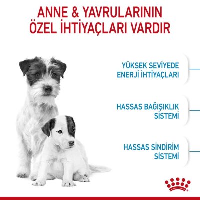 Royal Canin Mini Starter Yavru Köpek Başlangıç Maması 4 kg