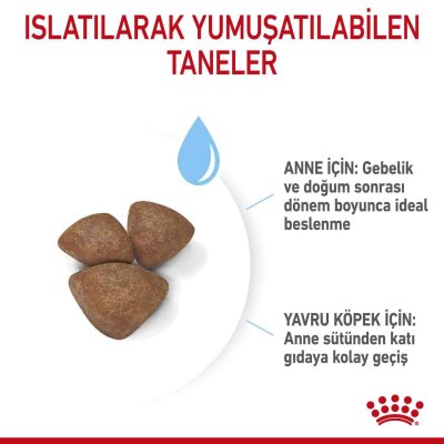 Royal Canin Mini Starter Yavru Köpek Başlangıç Maması 4 kg