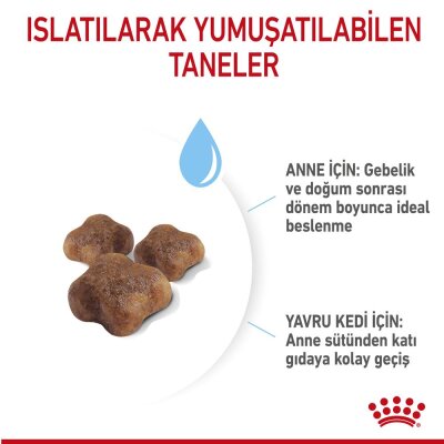 Royal Canin Mother & Baby Anne ve Yavru Kedi Maması 400 gr