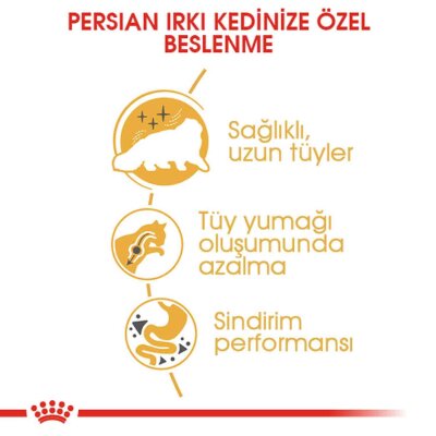 Royal Canin Persian 30 İran Irkına Özel Yetişkin Kedi Maması 2 kg