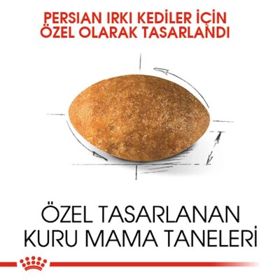 Royal Canin Persian 30 İran Irkına Özel Yetişkin Kedi Maması 10 kg