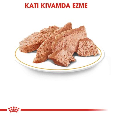Royal Canin Persian Yetişkin Kedi Konservesi 85 gr x 12 Adet