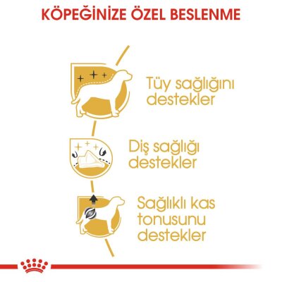 Royal Canin Poodle Irkına Özel Yetişkin Köpek Maması 3 kg