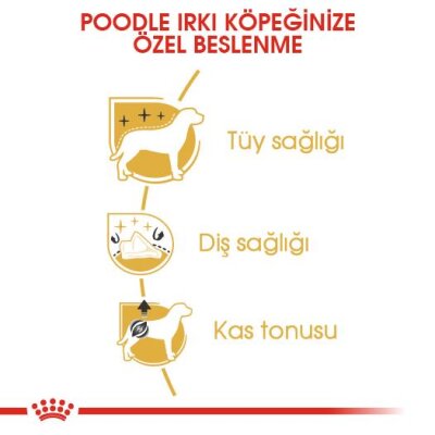 Royal Canin Poodle Irkına Özel Yetişkin Köpek Maması 3 kg