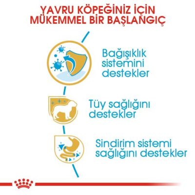 Royal Canin Poodle Irkına Özel Yavru Köpek Maması 3 kg
