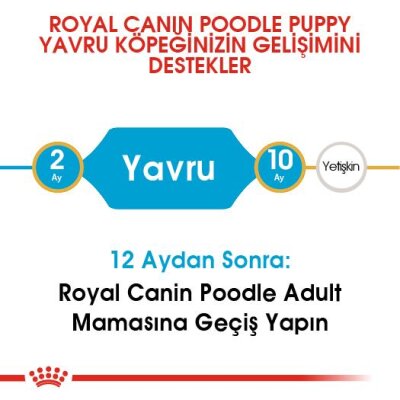 Royal Canin Poodle Irkına Özel Yavru Köpek Maması 3 kg