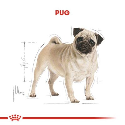 Royal Canin Pug Irka Özel Köpek Maması 1,5 kg
