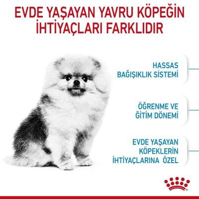 Royal Canin Mini Indoor Tavuklu Küçük Irk Yavru Köpek Maması 1,5 kg