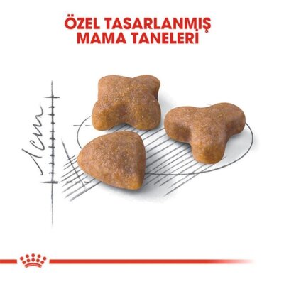 Royal Canin Sensible 33 Hassas Sindirim Yetişkin Kedi Maması 10 kg