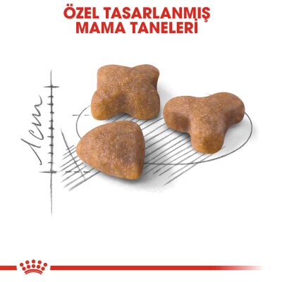 Royal Canin Sensible 33 Hassas Sindirim Kedi Maması 15 kg