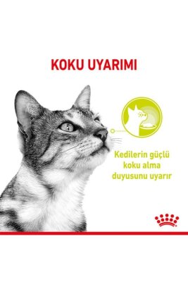 Royal Canin Soslu Balıklı Yetişkin Kedi Konservesi 85 gr x 12