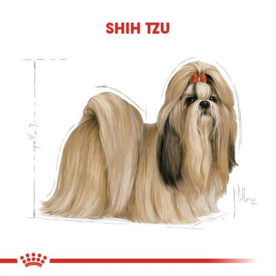 Royal Canin Shih Tzu Irkına Özel Yetişkin Köpek Maması 1,5 kg