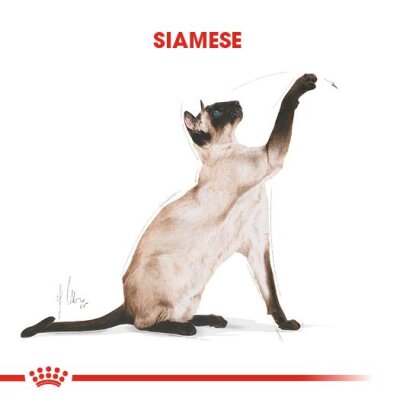 Royal Canin Siamese 38 Siyam Irkına Özel Yetişkin Kedi Maması 2 kg
