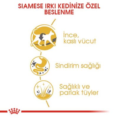 Royal Canin Siamese 38 Siyam Irkına Özel Yetişkin Kedi Maması 2 kg