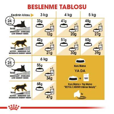 Royal Canin Siamese 38 Siyam Irkına Özel Yetişkin Kedi Maması 2 kg
