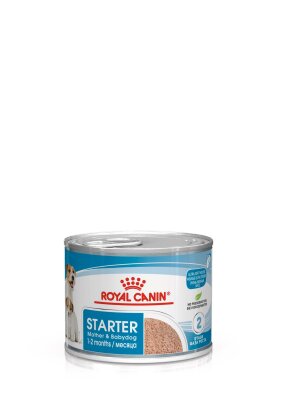 Royal Canin Starter Mousse Anne ve Yavru Köpek Konservesi 195 gr