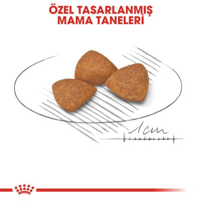 Royal Canin XS +12 Küçük Irk Yaşlı Köpek Maması 1,5 kg