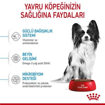 Royal Canin XS Çok Küçük Irk Yavru Köpek Maması 1,5 kg