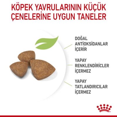 Royal Canin XS Çok Küçük Irk Yavru Köpek Maması 1,5 kg