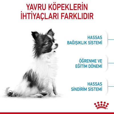 Royal Canin XS Mini Irk Yavru Köpek Maması 3 kg