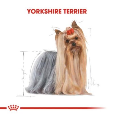 Royal Canin Yorkshire Terrier Yetişkin Köpek Konservesi 85 gr