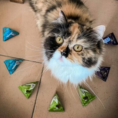 Sanabelle Hairball Tüy Yumağı Önleyici Kedi Ödül Maması 20 gr