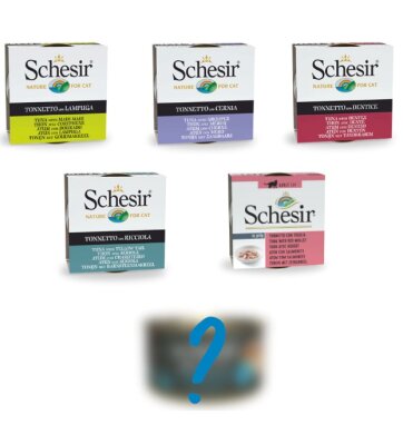 Schesir Jölede Ton Balıklı Konserve 6 Al 5 Öde, 6 x 80 gr