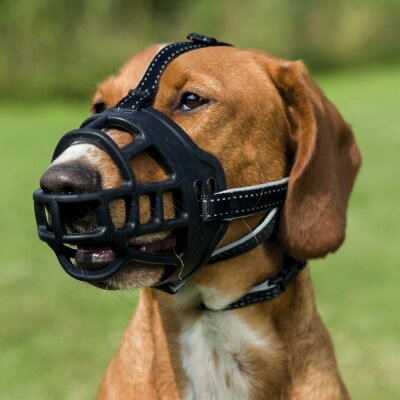Trixie Esnek Silikon Ayarlanabilir Köpek Ağızlığı M