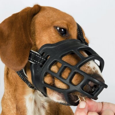 Trixie Esnek Silikon Ayarlanabilir Köpek Ağızlığı M