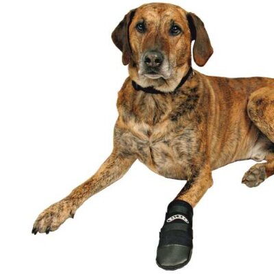 Trixie Neopren Köpek Patiği 2 Adet S Siyah