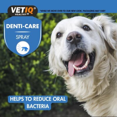VetIQ Fırçasız Ağız ve Diş Bakım Spreyi 100 ml (Kedi-Köpek)