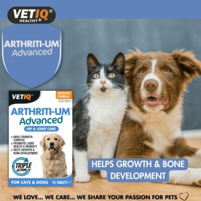 VetIQ Glukozaminli Kalça ve Eklem Tableti 45'li (Kedi-Köpek)