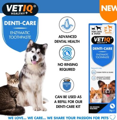VetIQ Denti Care Diş Macunu ve Fırça Seti (Kedi-Köpek)