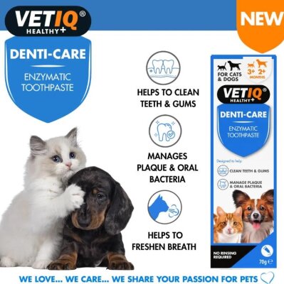 VetIQ Denti Care Diş Macunu ve Fırça Seti (Kedi-Köpek)