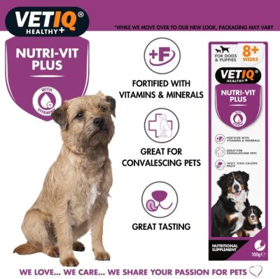 Vet IQ Nutri-Vit Plus Köpek Vitamin Mineral Macunu 100 gr