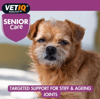 Vet IQ Senior Care Yaşlı Köpek Eklem ve Vitamin Tableti (45 Adet)